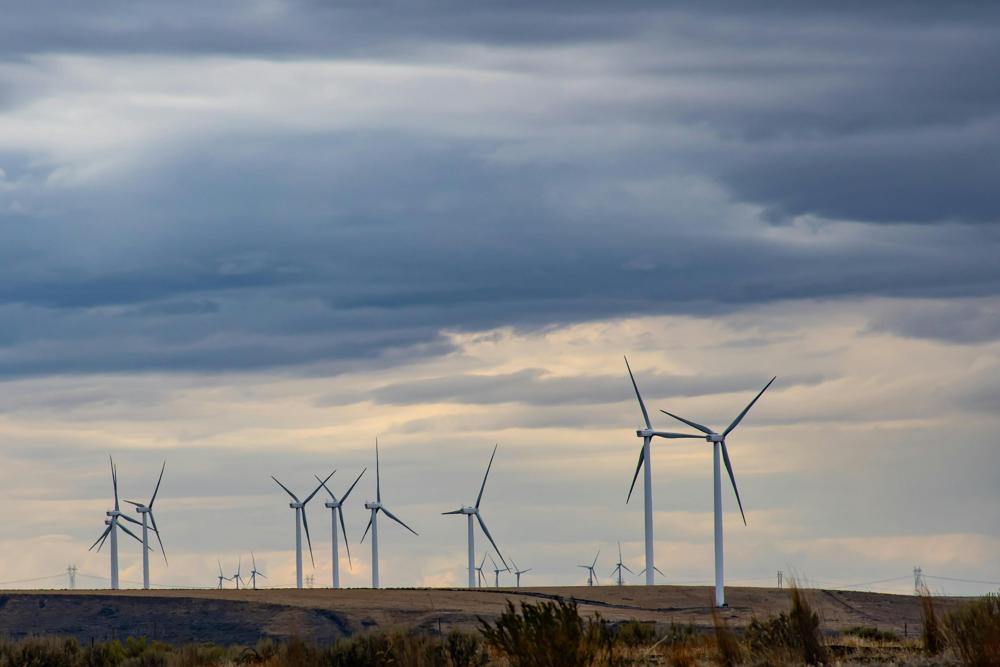 renewable energy
